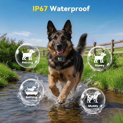 Close-up of the IP67 waterproof Prtrlfc GPS tracking collar showing signal strength indicators.