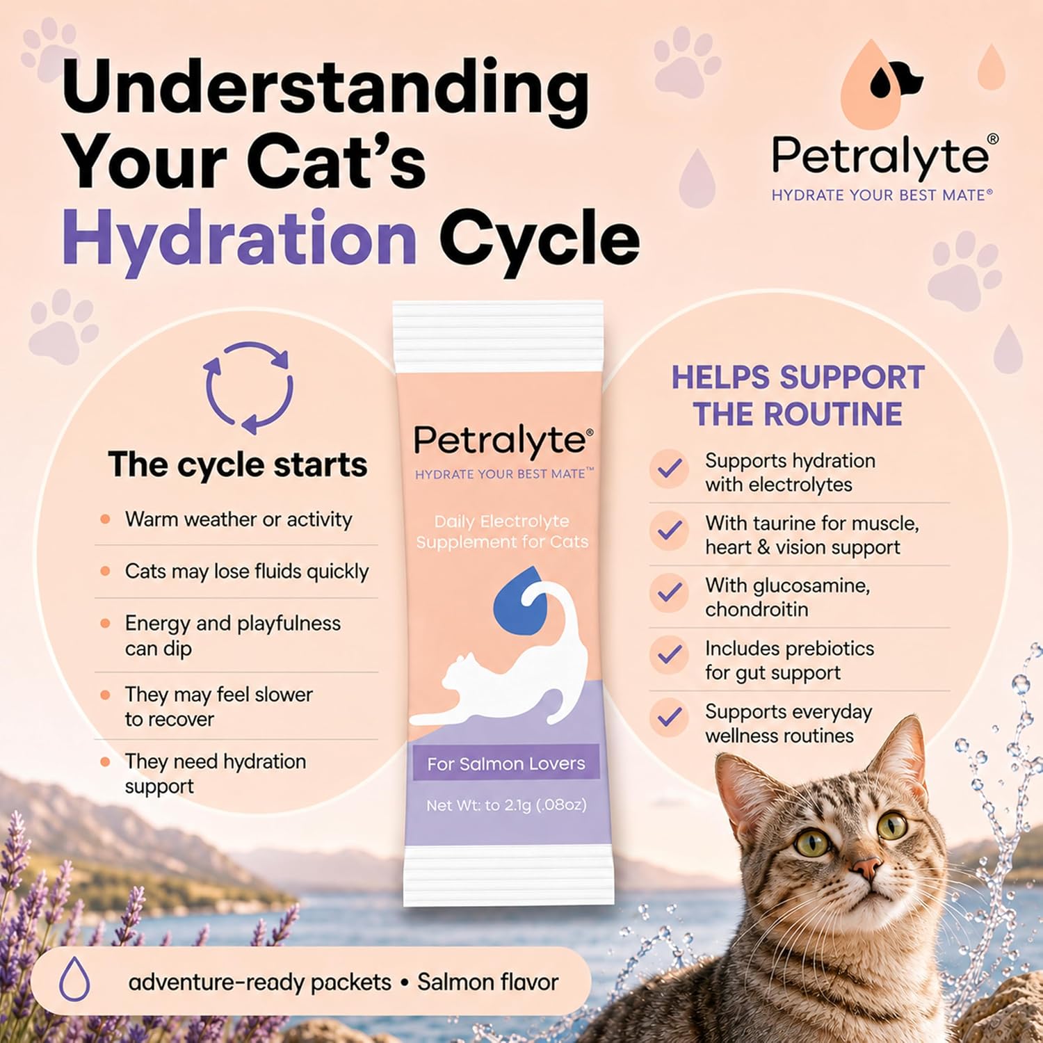Cat drinking from water bowl with Petralyte