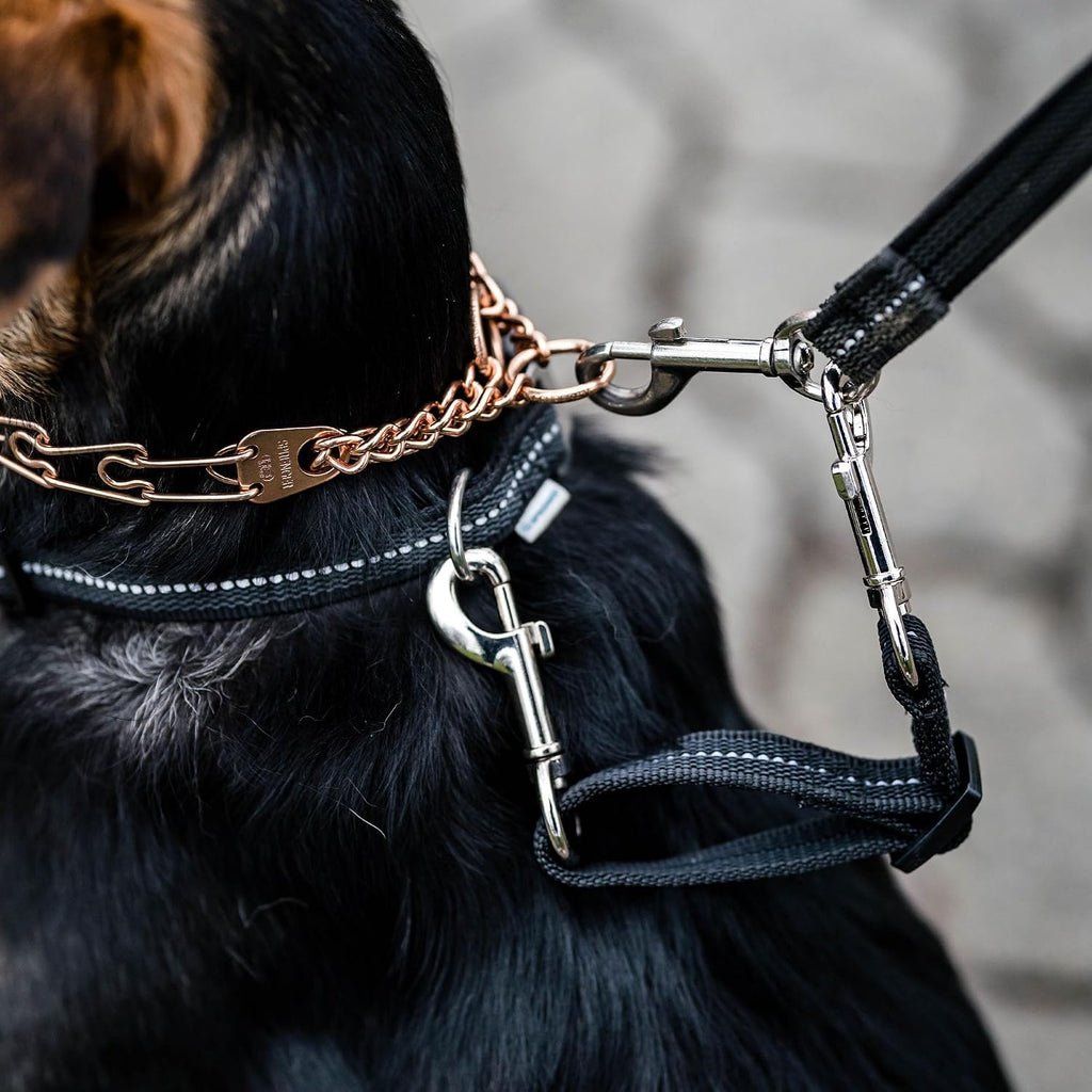 Herm Sprenger reflective leash connector for pet walking
