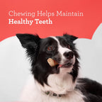 Educational label on DreamBone treats regarding digestive health