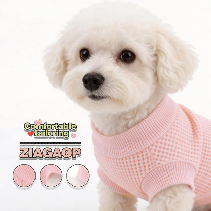 Turmeric yellow pet sweatshirt for small breeds