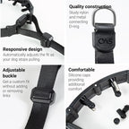 Close up of the lockable adjustment strap and metal D ring.