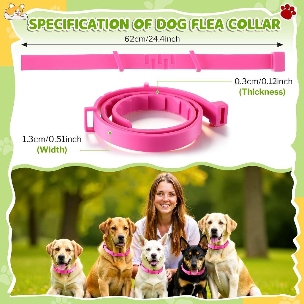 Adjustable natural essential oil flea collar for dogs