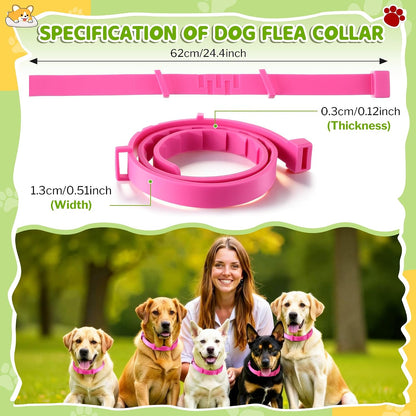 Adjustable natural essential oil flea collar for dogs