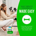 Authentic Minties dog dental bones package detailing feeding instructions for medium dogs
