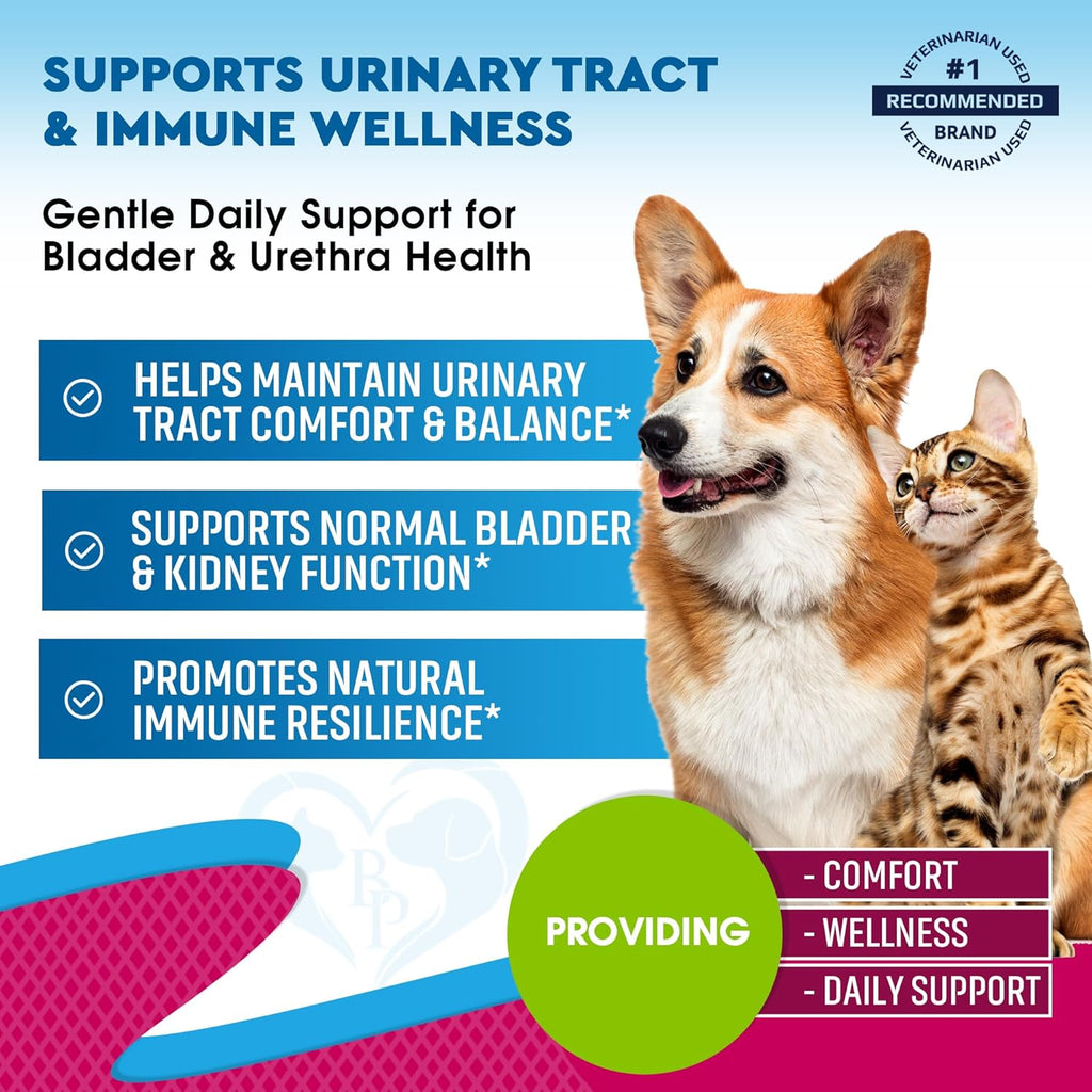 Beloved Pets natural UTI medicine dropper showing clear liquid formula for pets