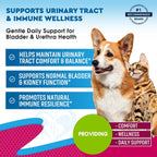 Beloved Pets natural UTI medicine dropper showing clear liquid formula for pets