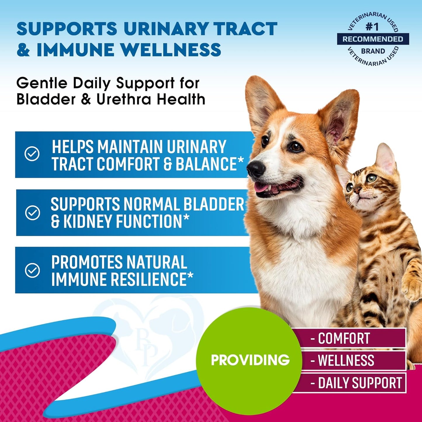 Beloved Pets natural UTI medicine dropper showing clear liquid formula for pets