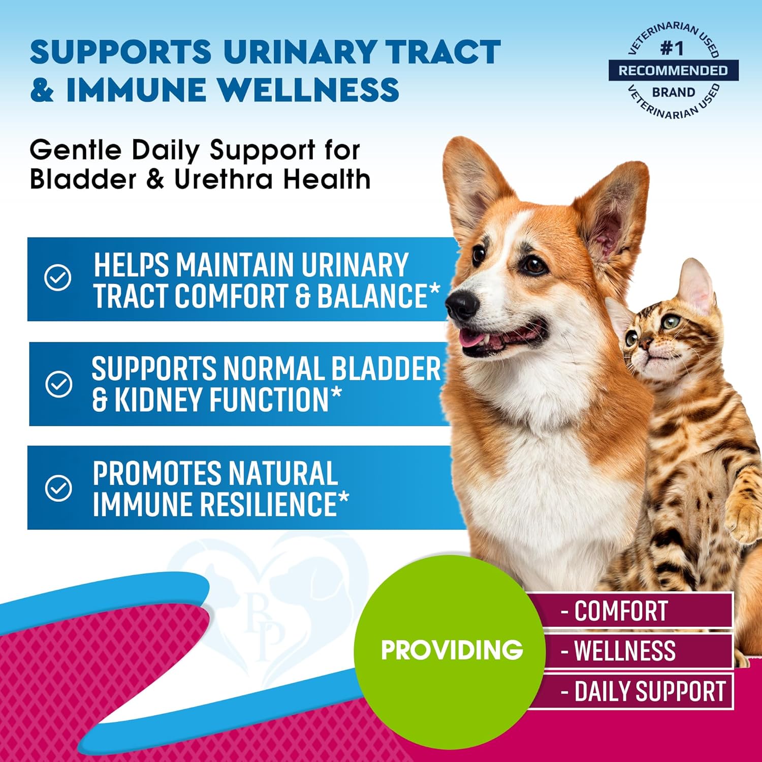 Beloved Pets natural UTI medicine dropper showing clear liquid formula for pets