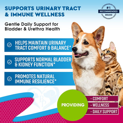 Beloved Pets natural UTI medicine dropper showing clear liquid formula for pets