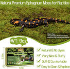 Halatool long fiber reptile substrate expanded in a terrarium