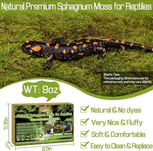 Halatool long fiber reptile substrate expanded in a terrarium