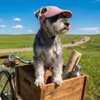 Breathable mesh material texture of Rbenxia pet hat