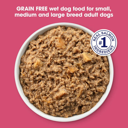 Nature's Recipe adult maintenance wet dog food thirteen ounce can side packaging details