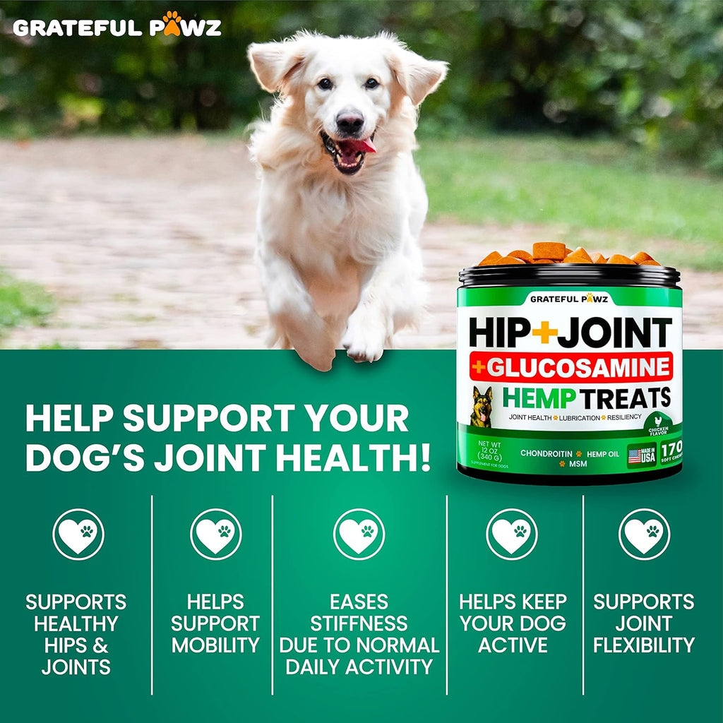 Premium canine hip and joint chews with chondroitin and MSM