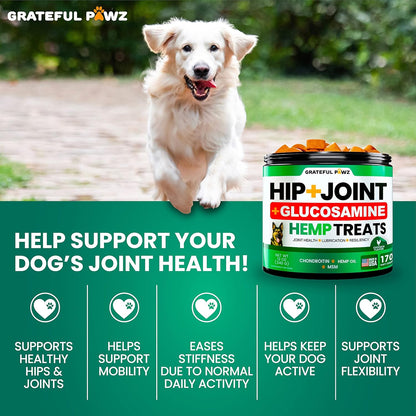 Premium canine hip and joint chews with chondroitin and MSM