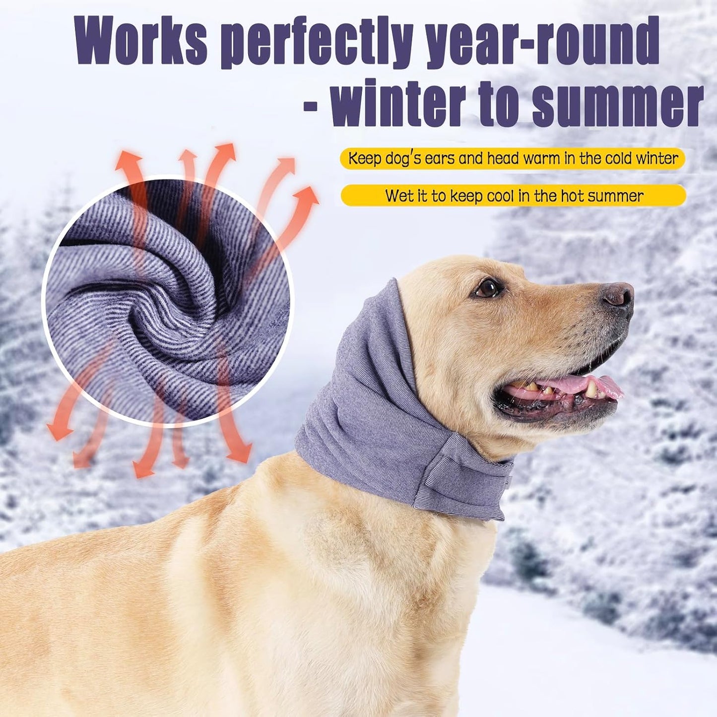 Side profile of dog wearing purple quiet ears hood