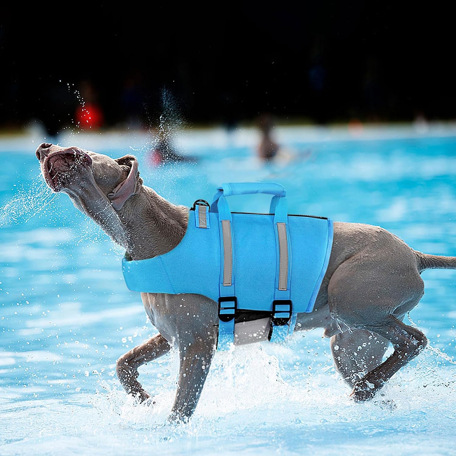 Queenmore pet water life preserver adjustable straps with quick release buckles close up