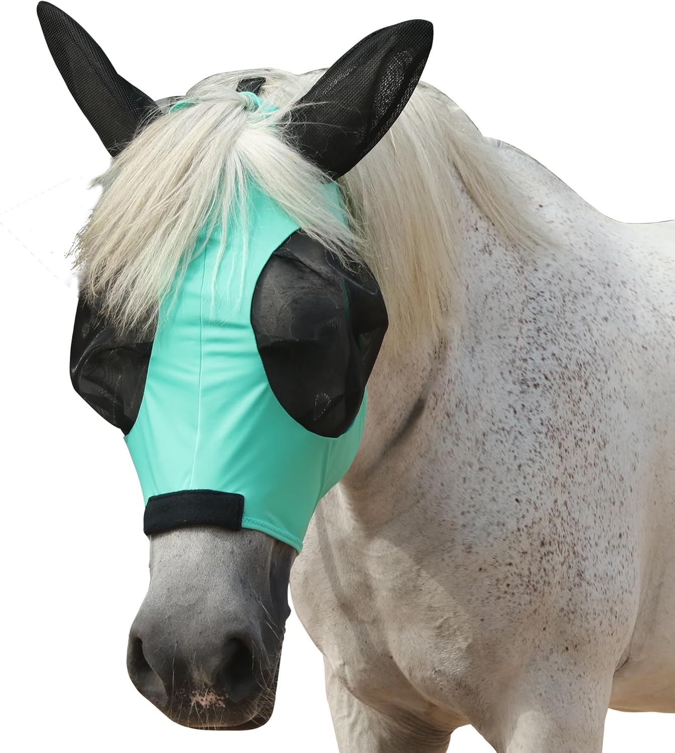 Gallopoff horse fly mask full size packaging