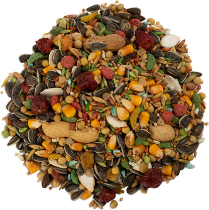Close up of parrot food texture and seed variety