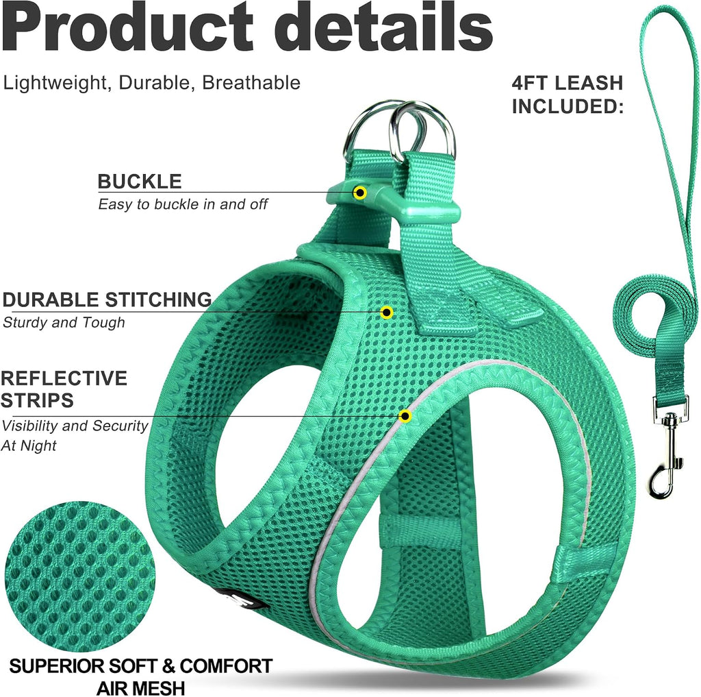 Fida lightweight breathable mesh kitten harness step in design back view