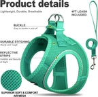 Fida lightweight breathable mesh kitten harness step in design back view