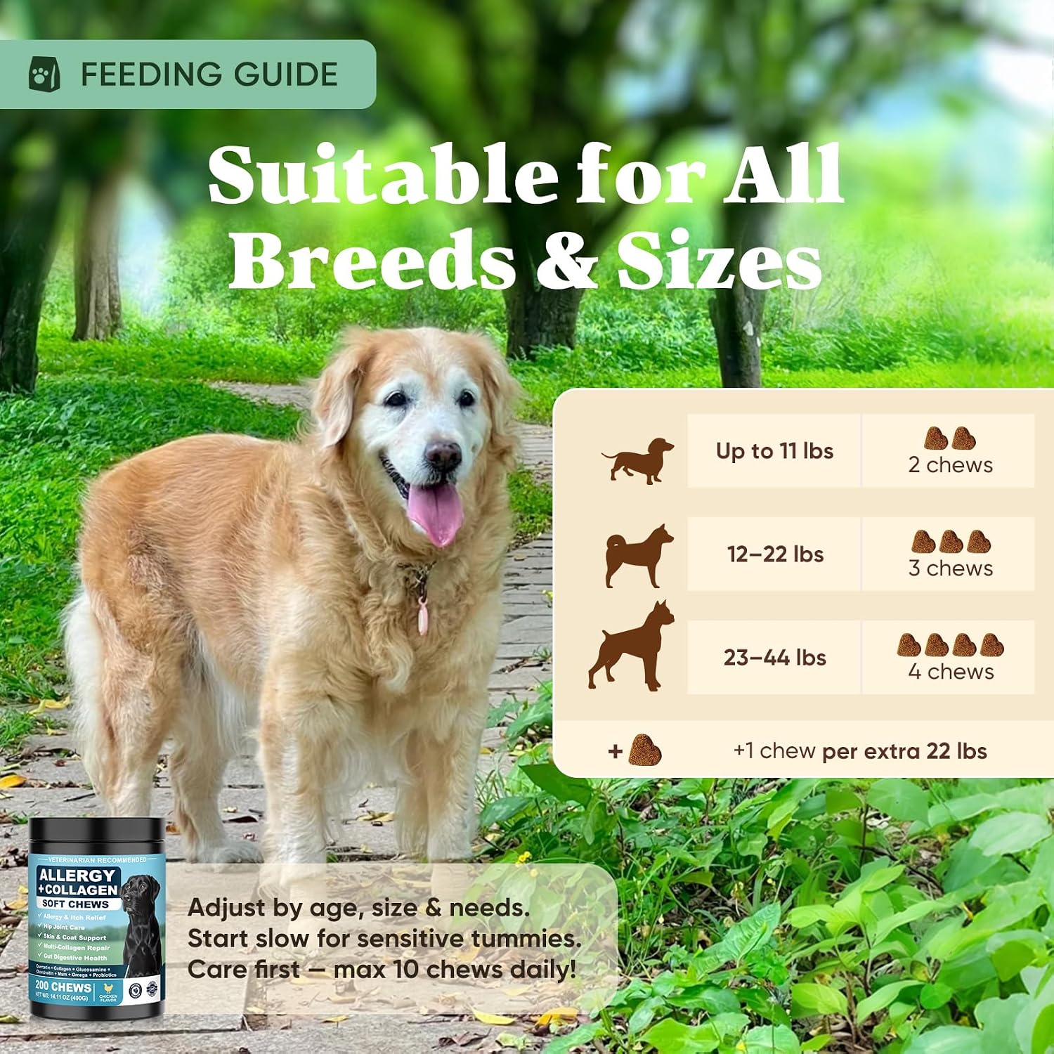 YYTKMY pet allergy chews nutritional panel showcasing fish oil and spirulina antioxidants.