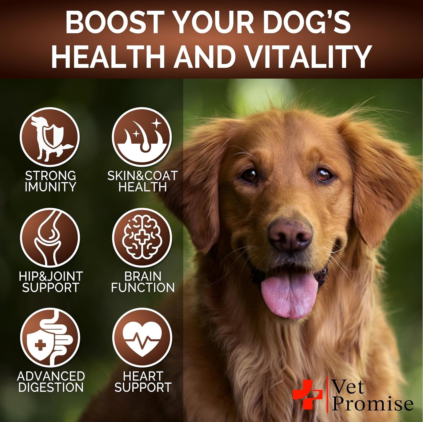 Detailed ingredient label of Vet Promise turkey tail mushroom for dogs