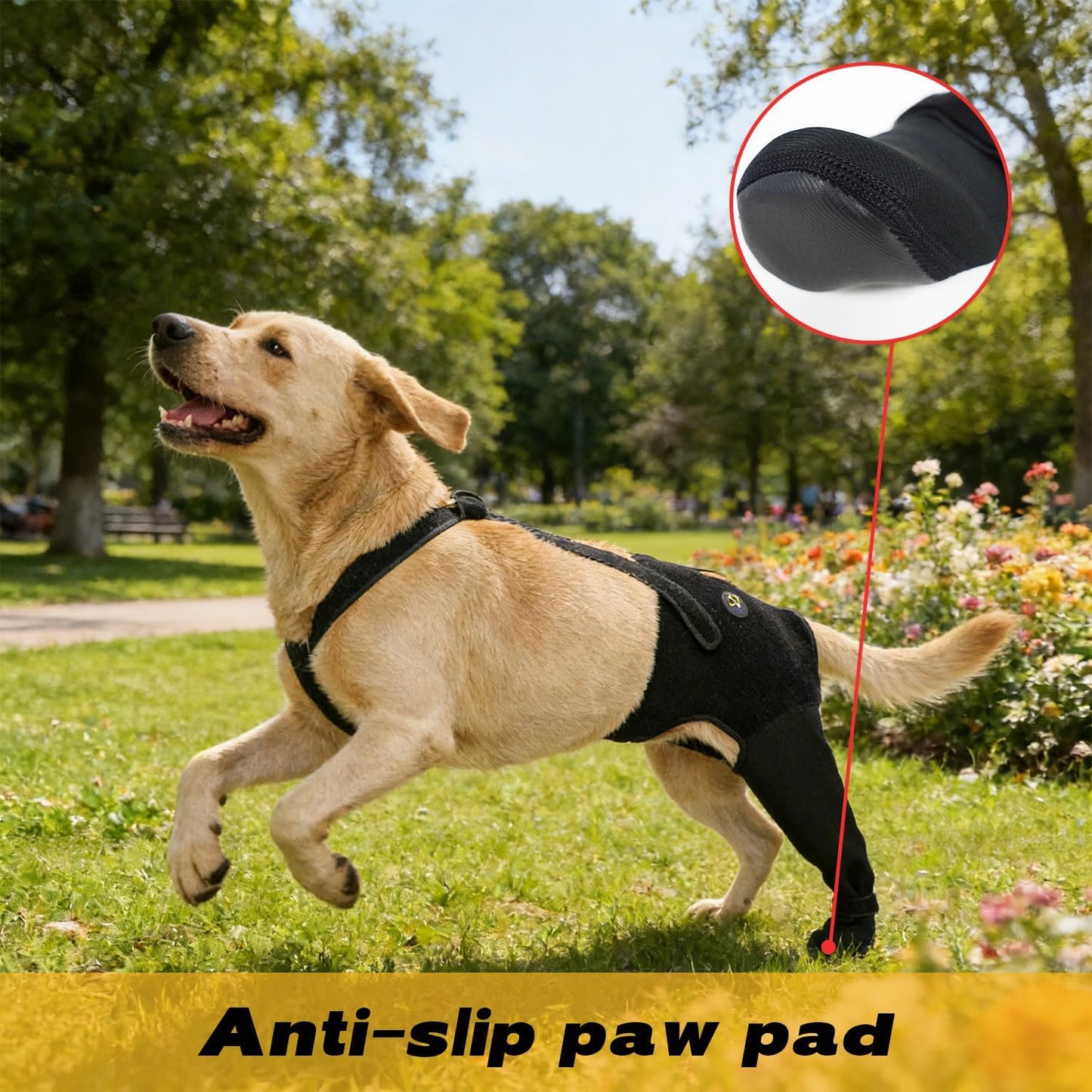 Dog wearing Coodeo hind leg sleeve for wound healing