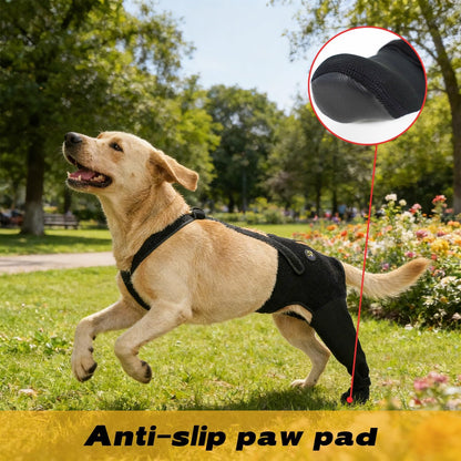 Dog wearing Coodeo hind leg sleeve for wound healing