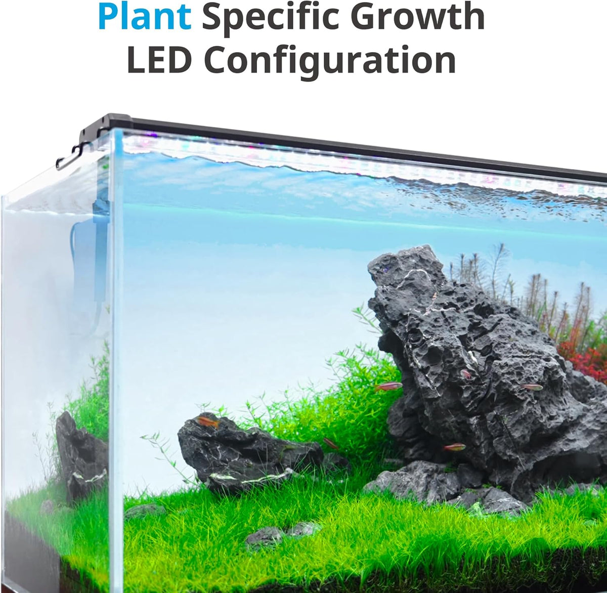 Nicrew ClassicLED Plus aquarium light front view