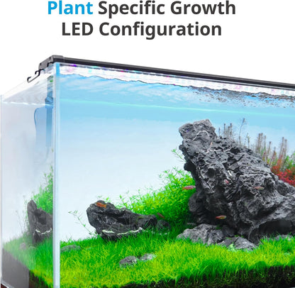 Nicrew LED aquarium lighting showing full spectrum color output