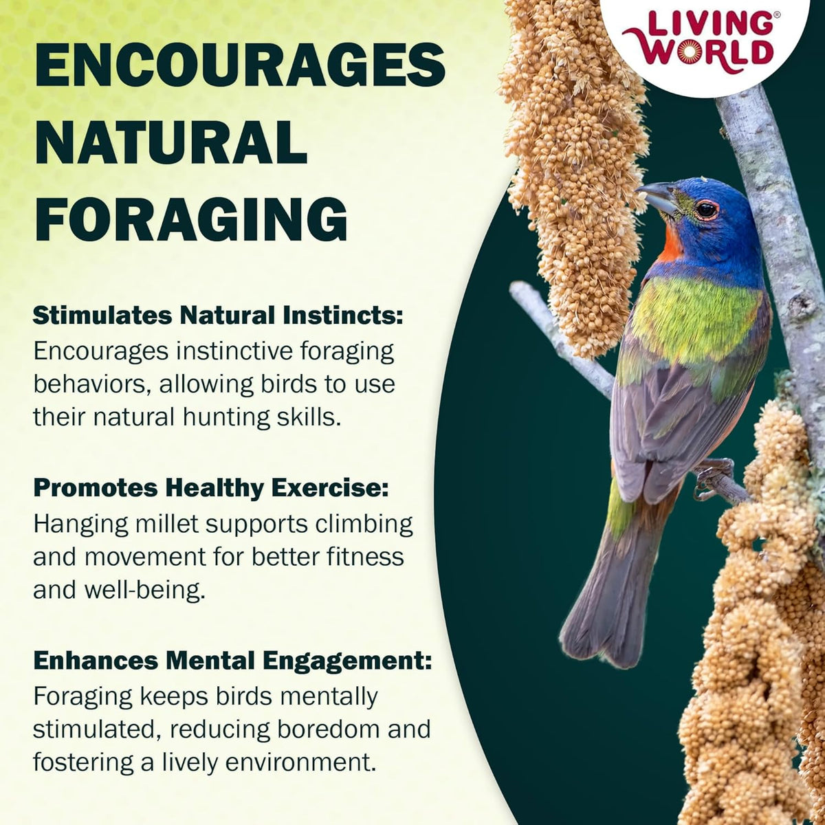 Living World millet spray for birds feeding pet bird