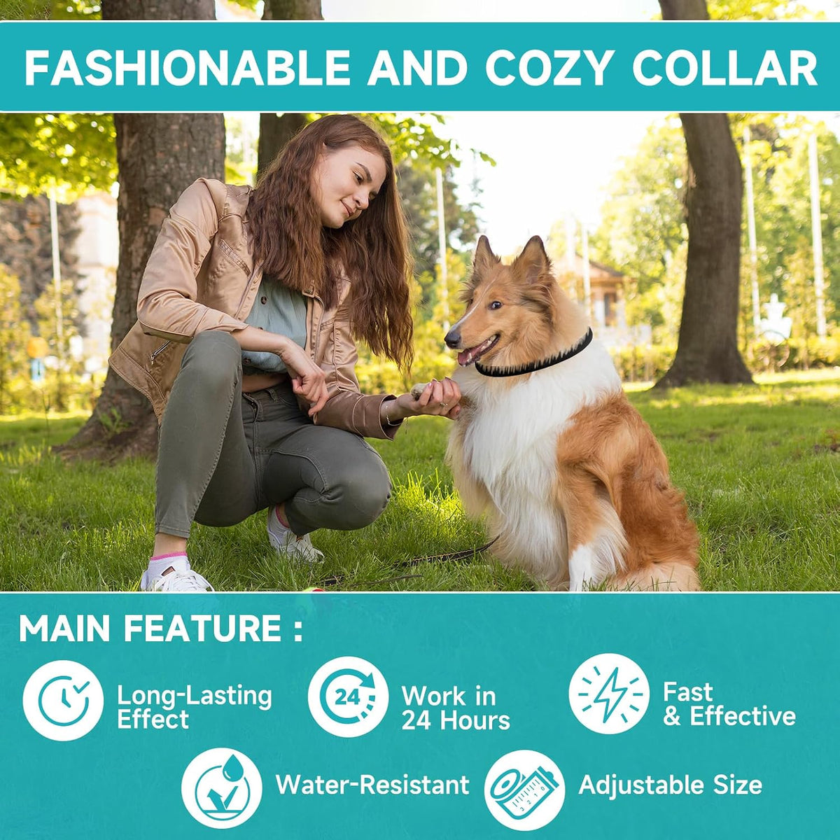 Diagram showing how to adjust flea collar size for dogs