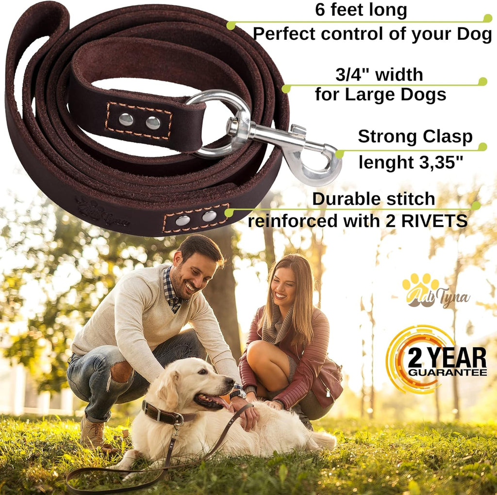 ADITYNA heavy duty leather dog lead showcasing the 360 degree stainless steel snap clip hardware.