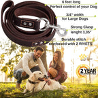 ADITYNA heavy duty leather dog lead showcasing the 360 degree stainless steel snap clip hardware.