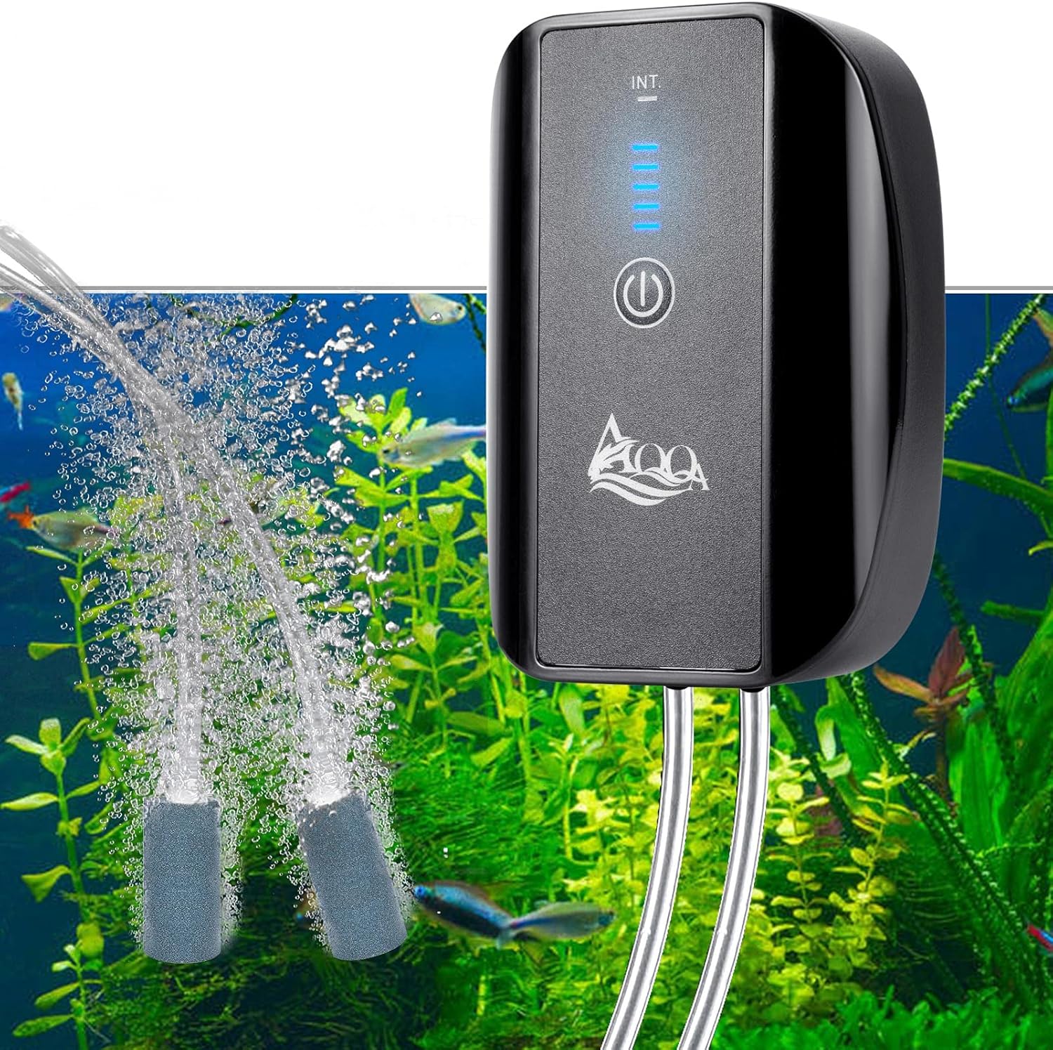 Outdoor fishing setup using AQQA portable rechargeable air pump