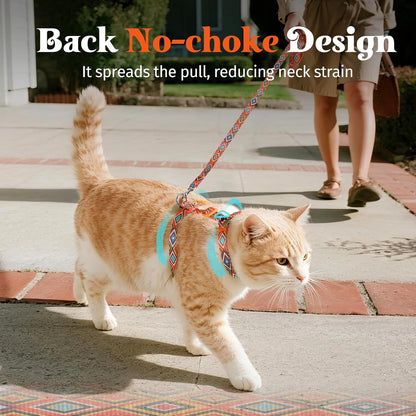 Small cat wearing orange and black breathable pet harness