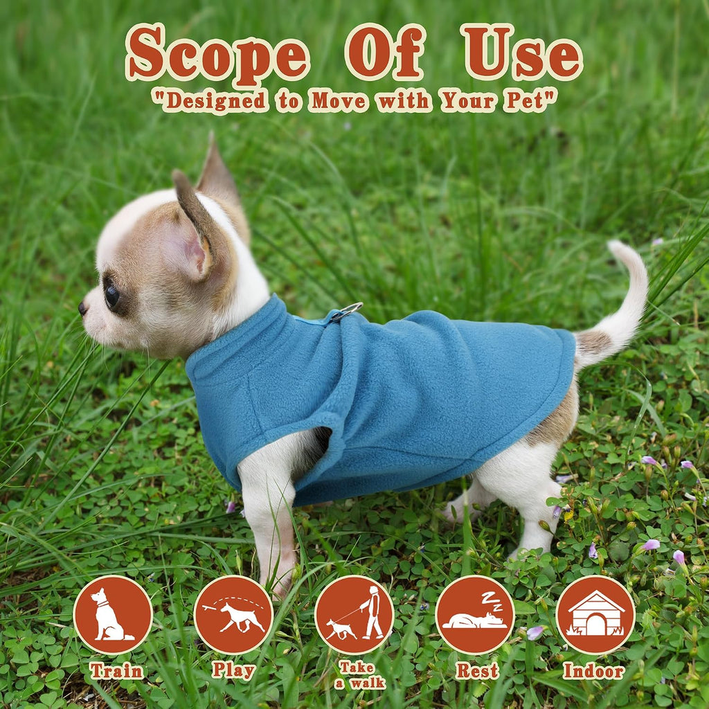 Small dog winter coat with secure D-ring leash attachment for outdoor walks