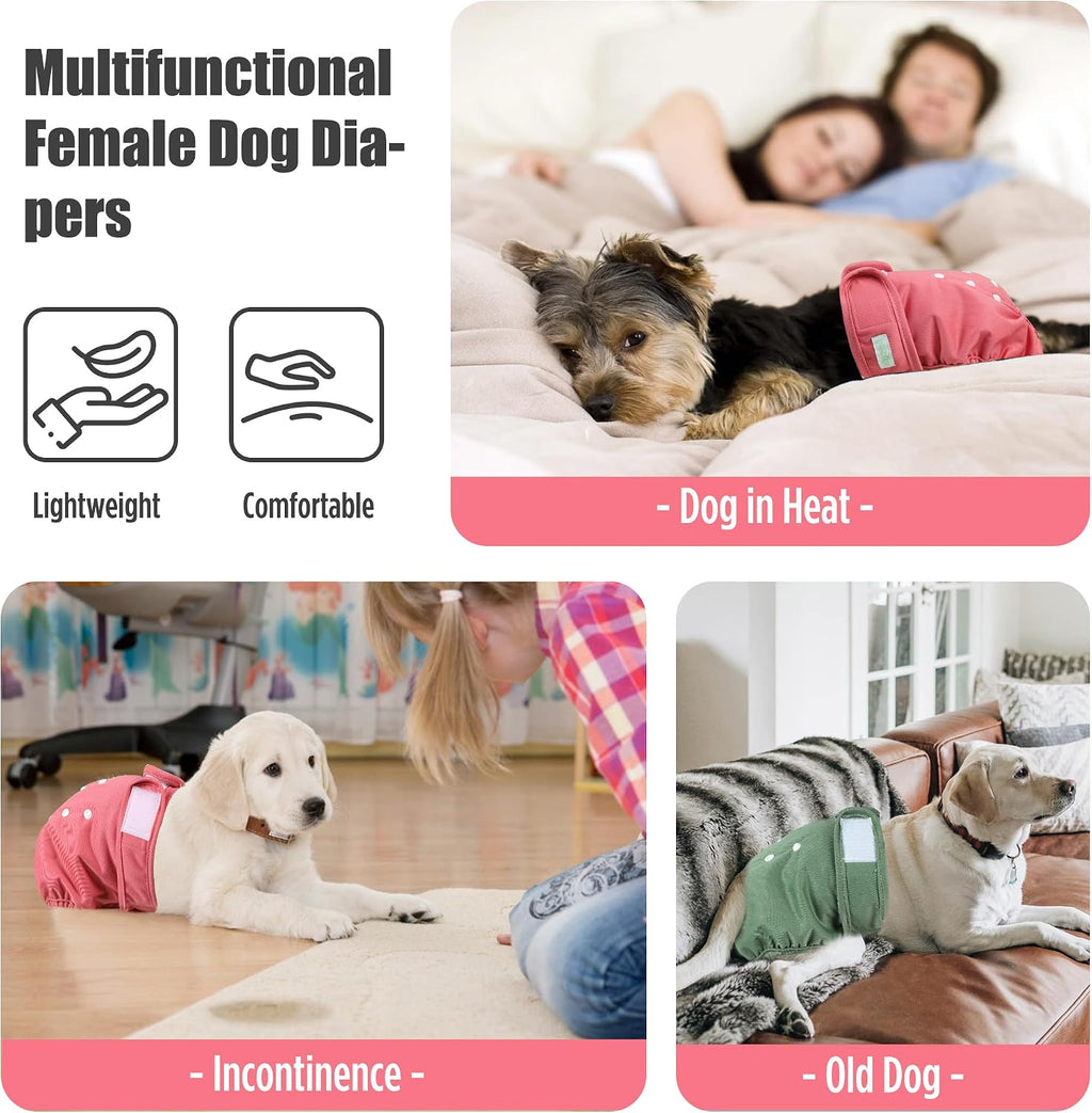 Wegreeco doggy period panties tail hole design and stitching details