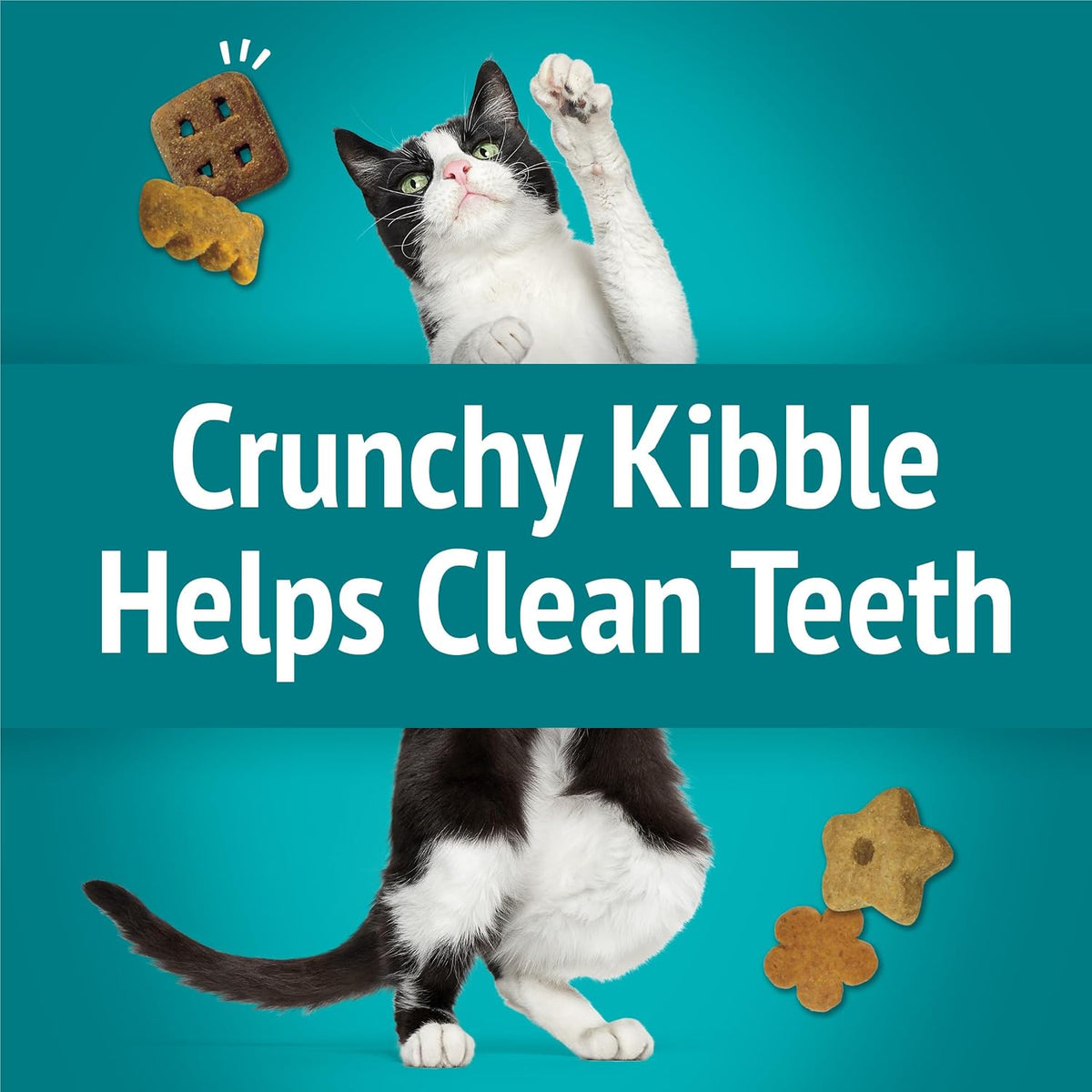 Friskies Meow Luau Crunch pouch with seafood imagery