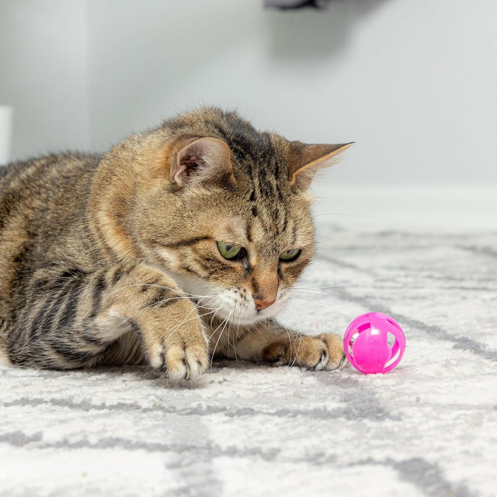 SPOT Slotted Balls Cat Toy - Interactive Cat Toys for Indoor Cats to Chase, Hunt and Stimulate - Jingle Bell Inside for Sound When Batted Around - Safe and Non-Toxic - 1.5" Assorted 4-Pack - Image 2