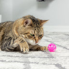 SPOT Slotted Balls Cat Toy - Interactive Cat Toys for Indoor Cats to Chase, Hunt and Stimulate - Jingle Bell Inside for Sound When Batted Around - Safe and Non-Toxic - 1.5" Assorted 4-Pack - Image 2