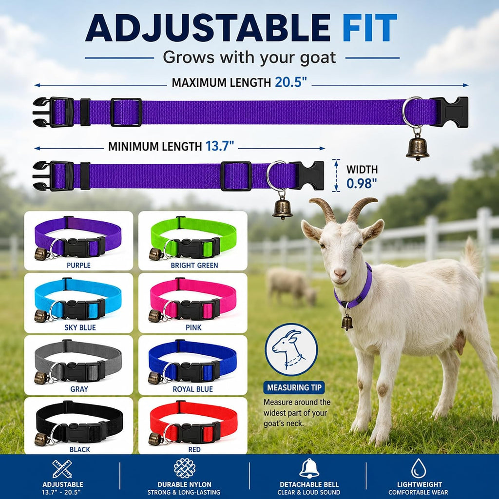 Close-up of the quick release buckle on the adjustable livestock collar