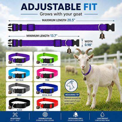 Close-up profile of the Gindoor livestock tracking collar highlighting the adjustable strap mechanism and secure quick release buckle.
