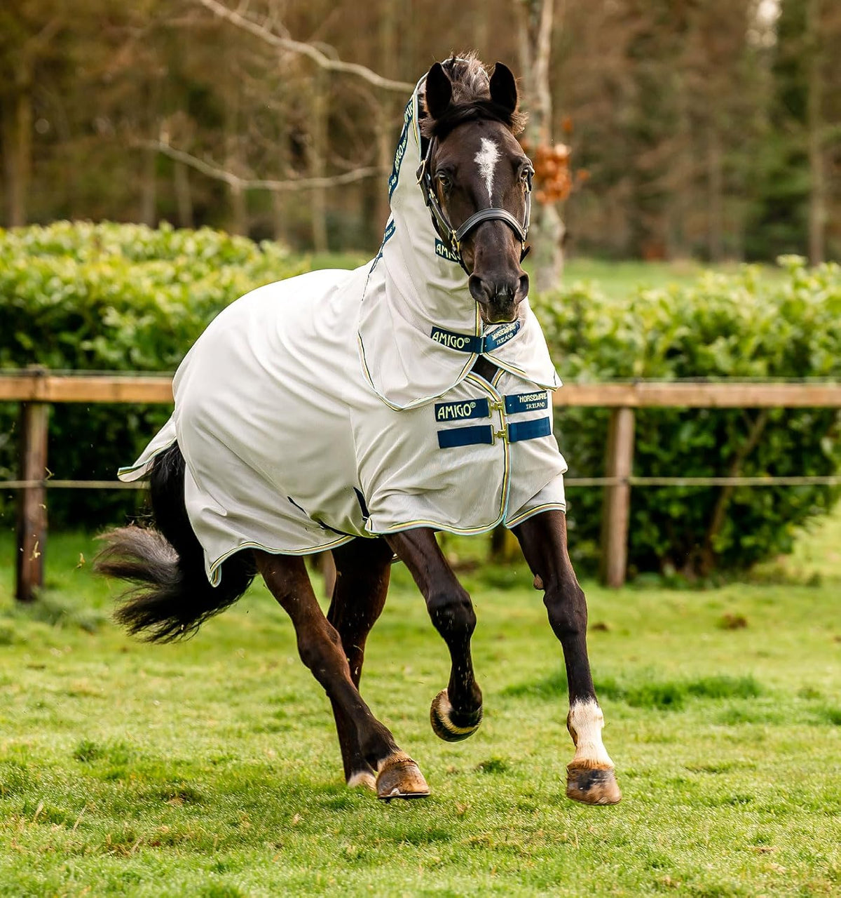 Horseware Amigo Bug Rug protective horse blanket with detachable neck cover attached.