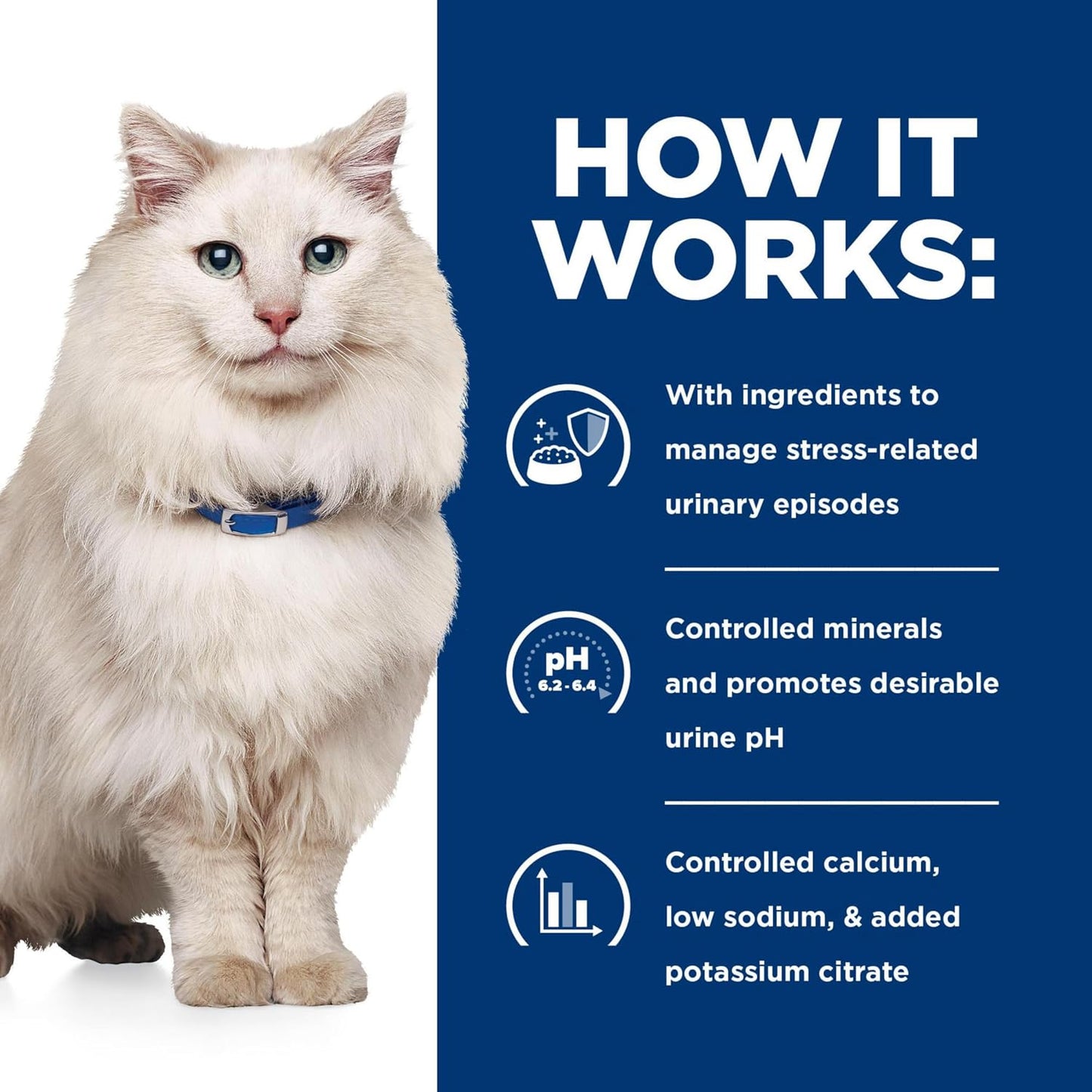 Premium Hill's urinary tract health wet cat food multipack assortment