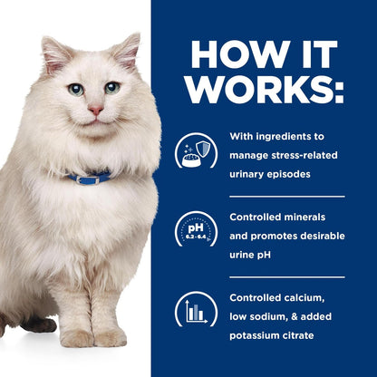 Premium Hill's urinary tract health wet cat food multipack assortment