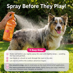 Back view of Zesty Paws flea and tick spray with usage instructions