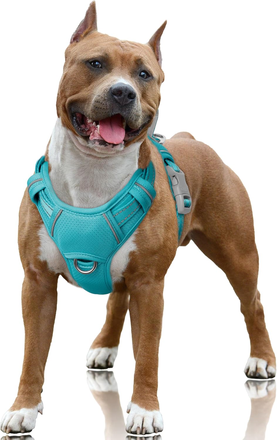 BARKBAY No Pull Dog Harness Large Reflective Dog Harness with Front Clip and Easy Control Handle for Walking Training Running with ID tag Pocket(Pink,L) - Image 14